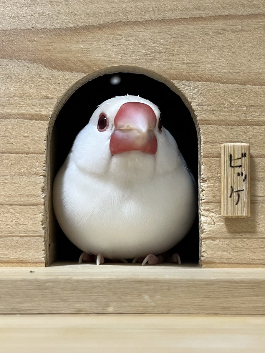 部屋掃除で意外な発見！？
