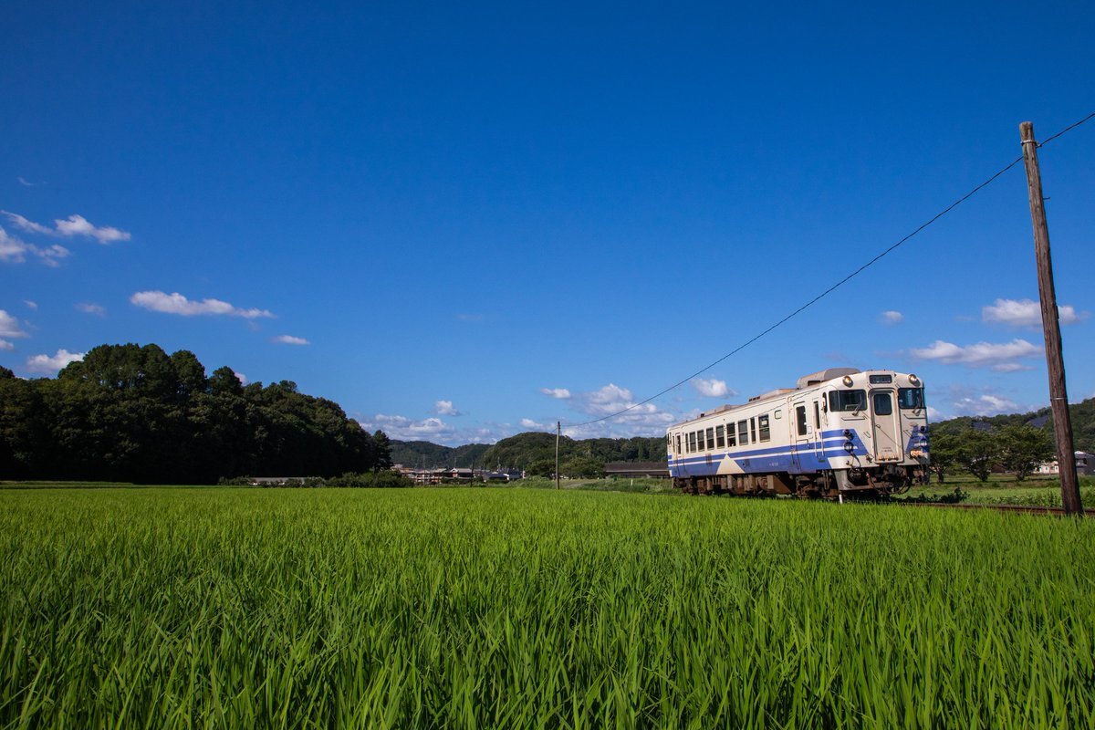宮原① K11TS551-13-13-pc1-m.jpg