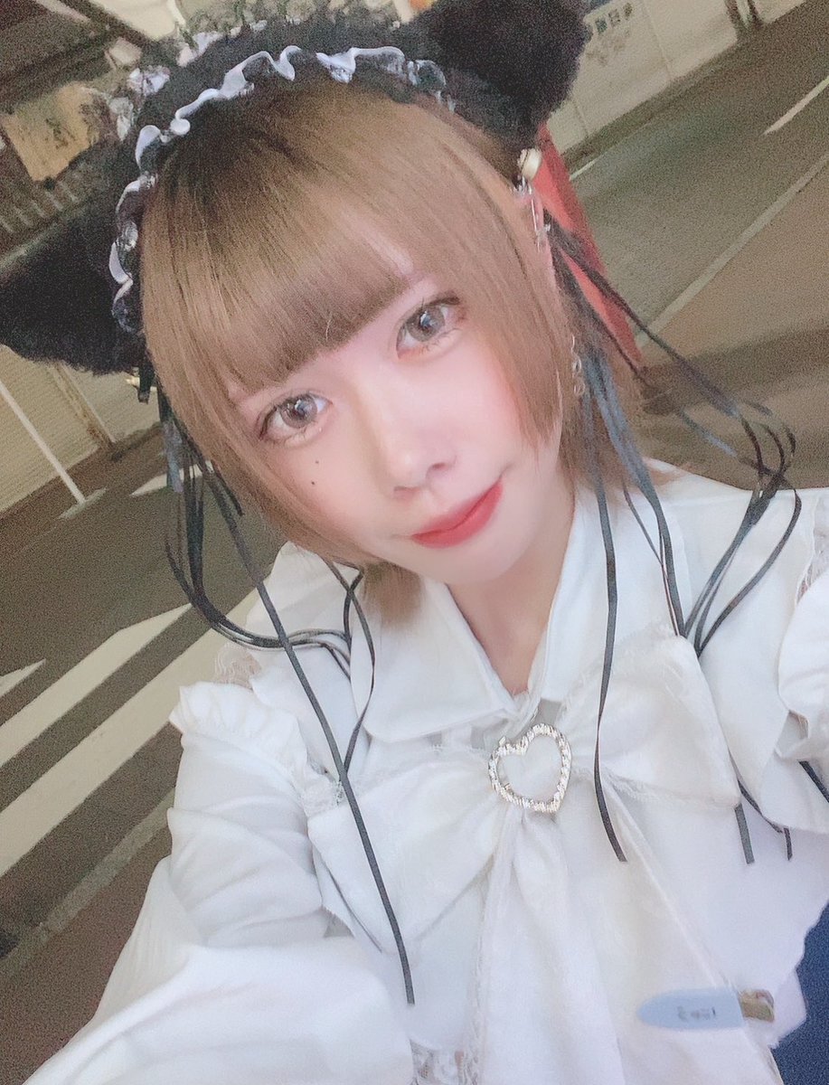 ❤みけねこ屋本舗さま❤oils❤ みけにゃん (@mikeneko.x) • Instagram photos and videos