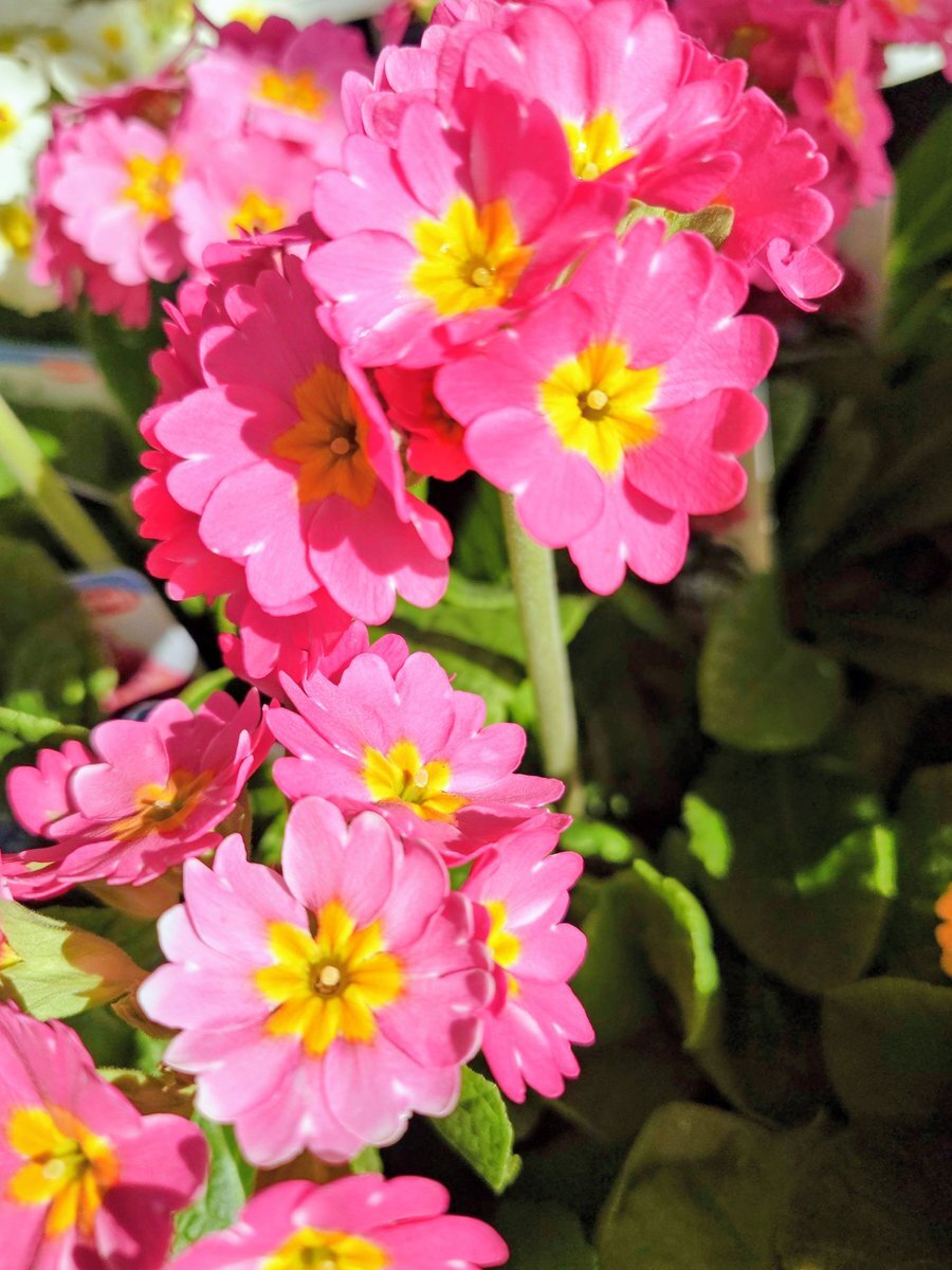 木曜日の朝、SNSで「週の後半戦頑張ろう！」の声が