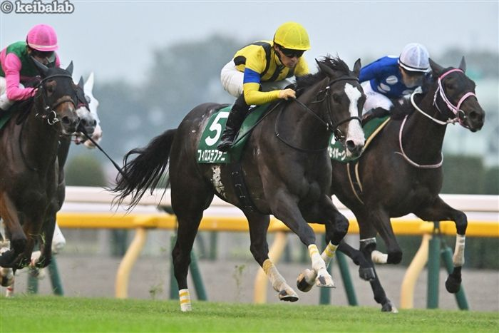 フィロステファニ、アルテミスS制覇後引退へ