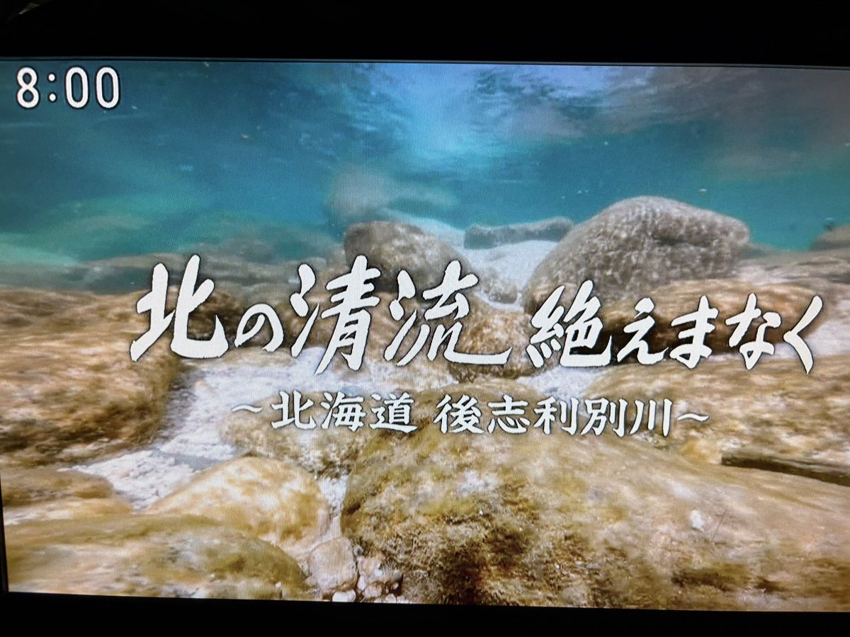 NHK「小さな旅」熊野古道の魅力に視聴者感動