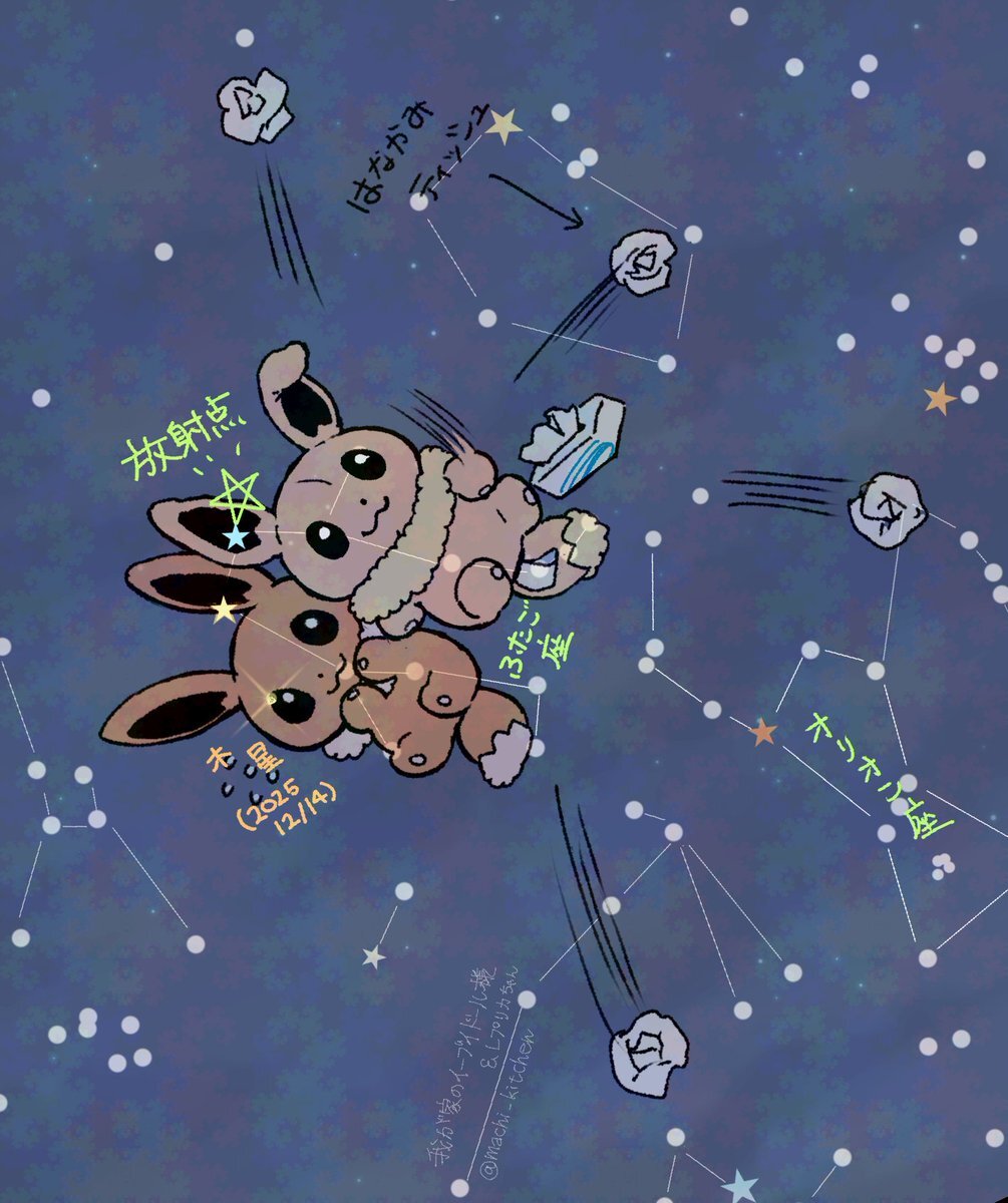 ふたご座流星群、オリオン座と冬の星空が輝きを放つ