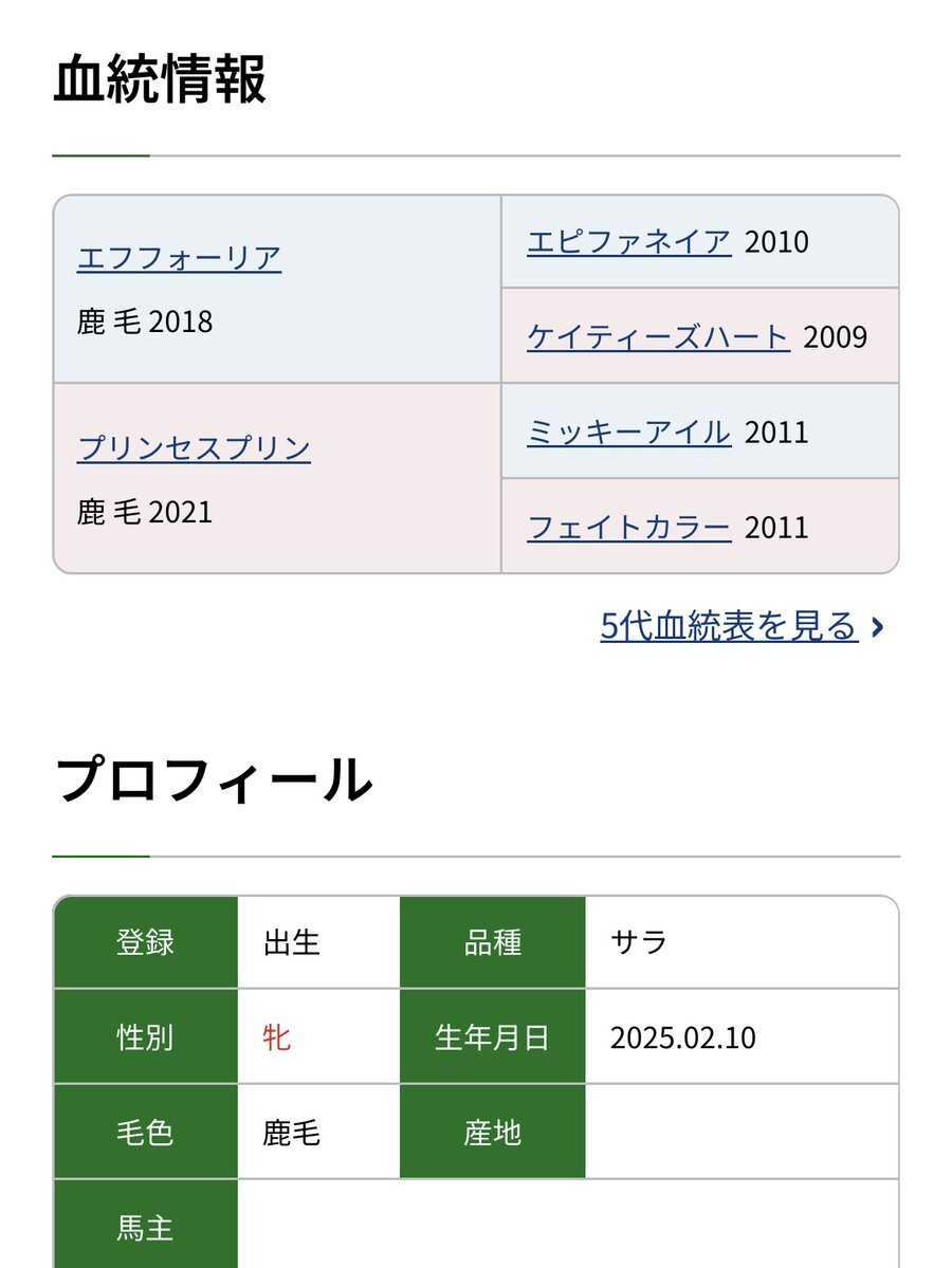 袋*子様 エフフォーリア　たてがみ　値下げ◎ エフフォーリア - Search / X
