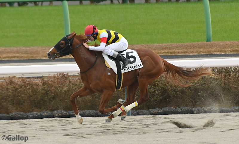 トワイライトサイト、横山和生騎手との初コンビで快勝！ 