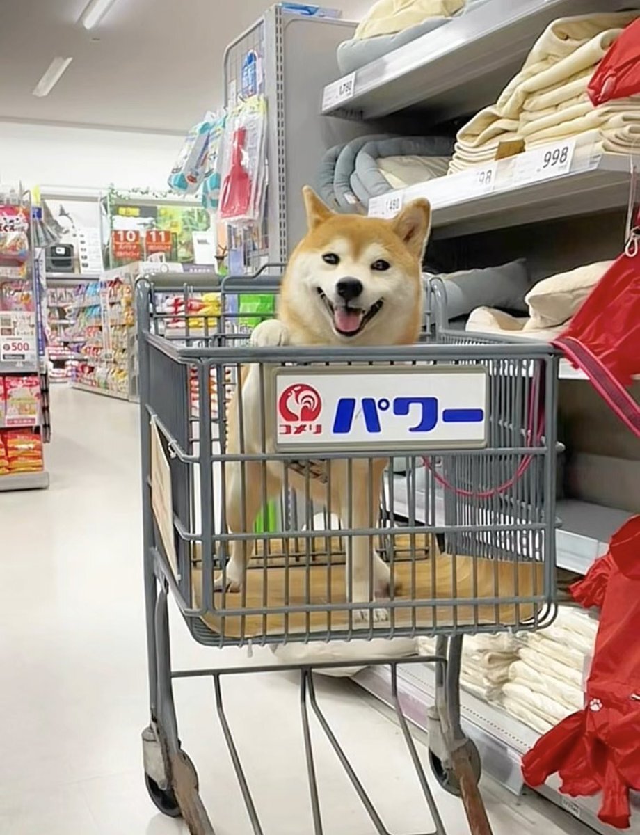 あおちゃんさま確認ページ♡ あおちゃん♡