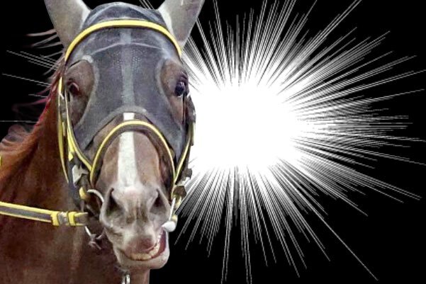 ガソスタニキ、メイショウハリオの応援馬券購入にファン感動