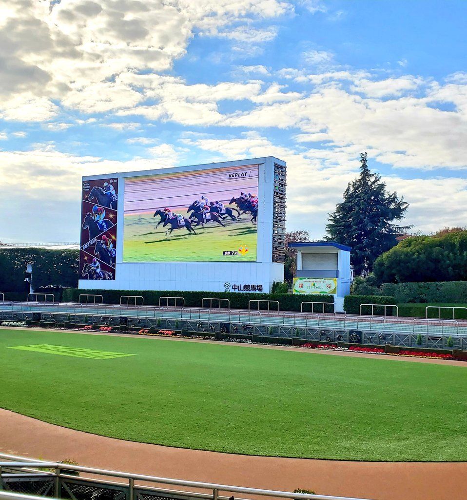 戸崎騎手、ダノンデサイルに継続！レガレイラは誰に乗る？