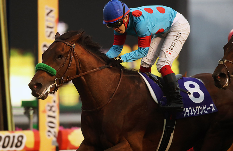 雨の有馬記念でロイヤルホープは一体どこまで走れる？