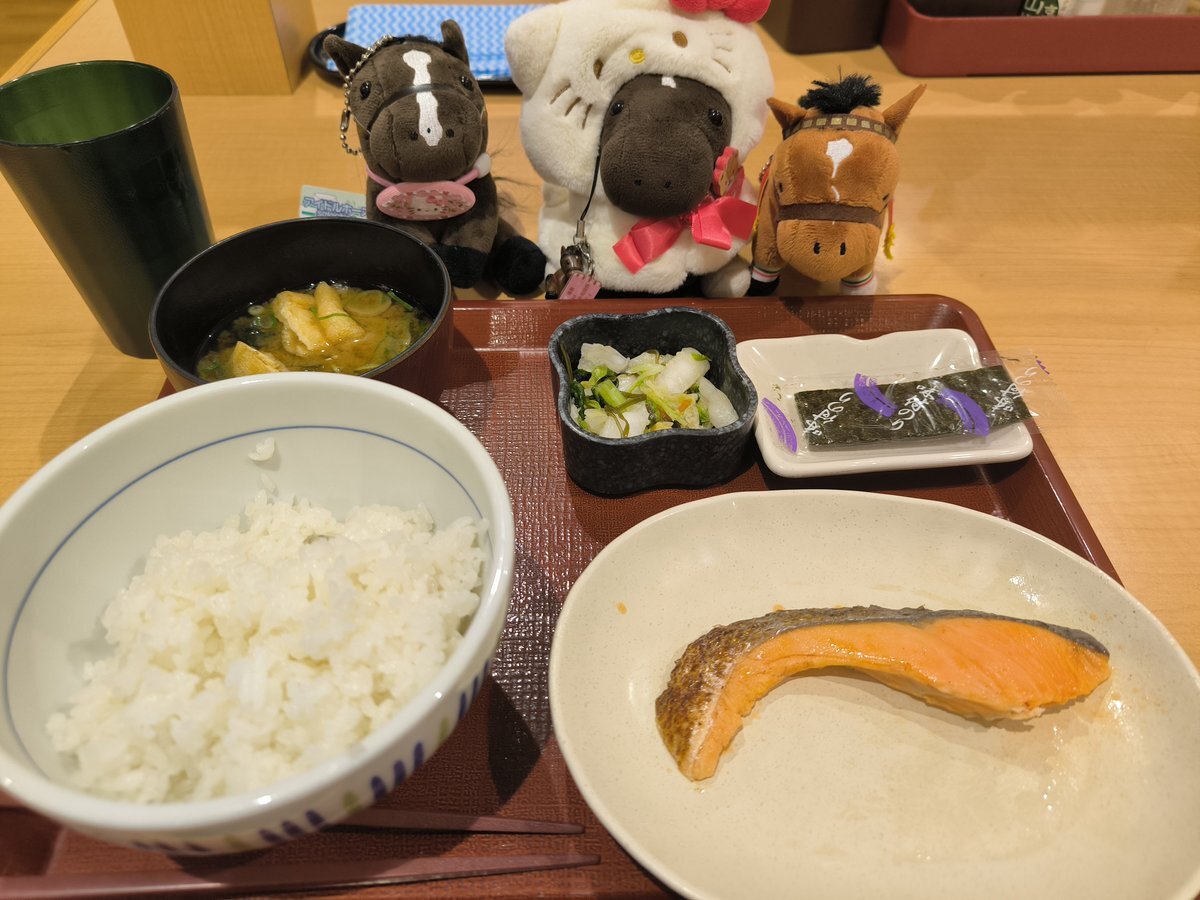 おシャフ種牡馬復帰！ファン歓喜「たくさん産駒が見たい」