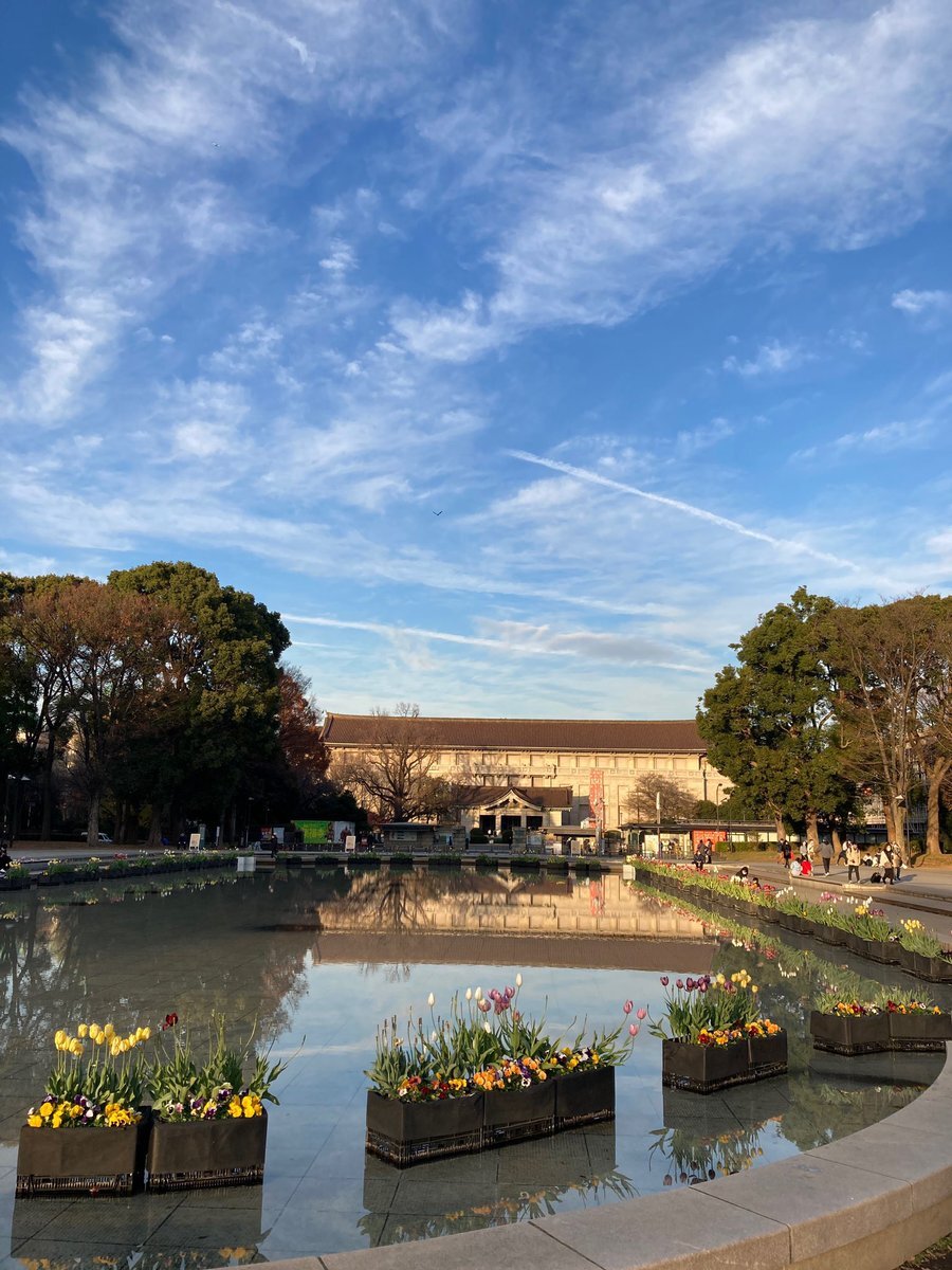 トーハクの池、イベントスペースに変わる？