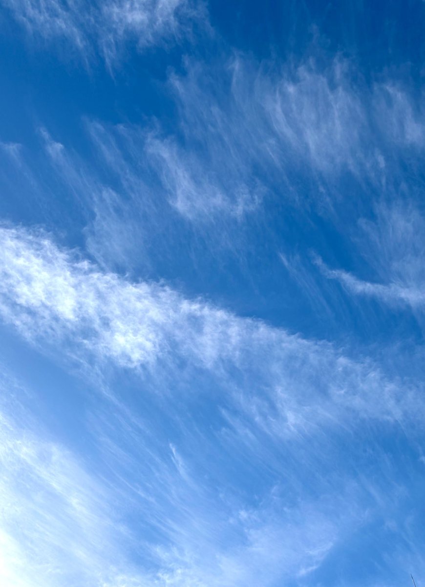 EXIT兼近大樹、いじめ後遺症の加害者側の責任を語る