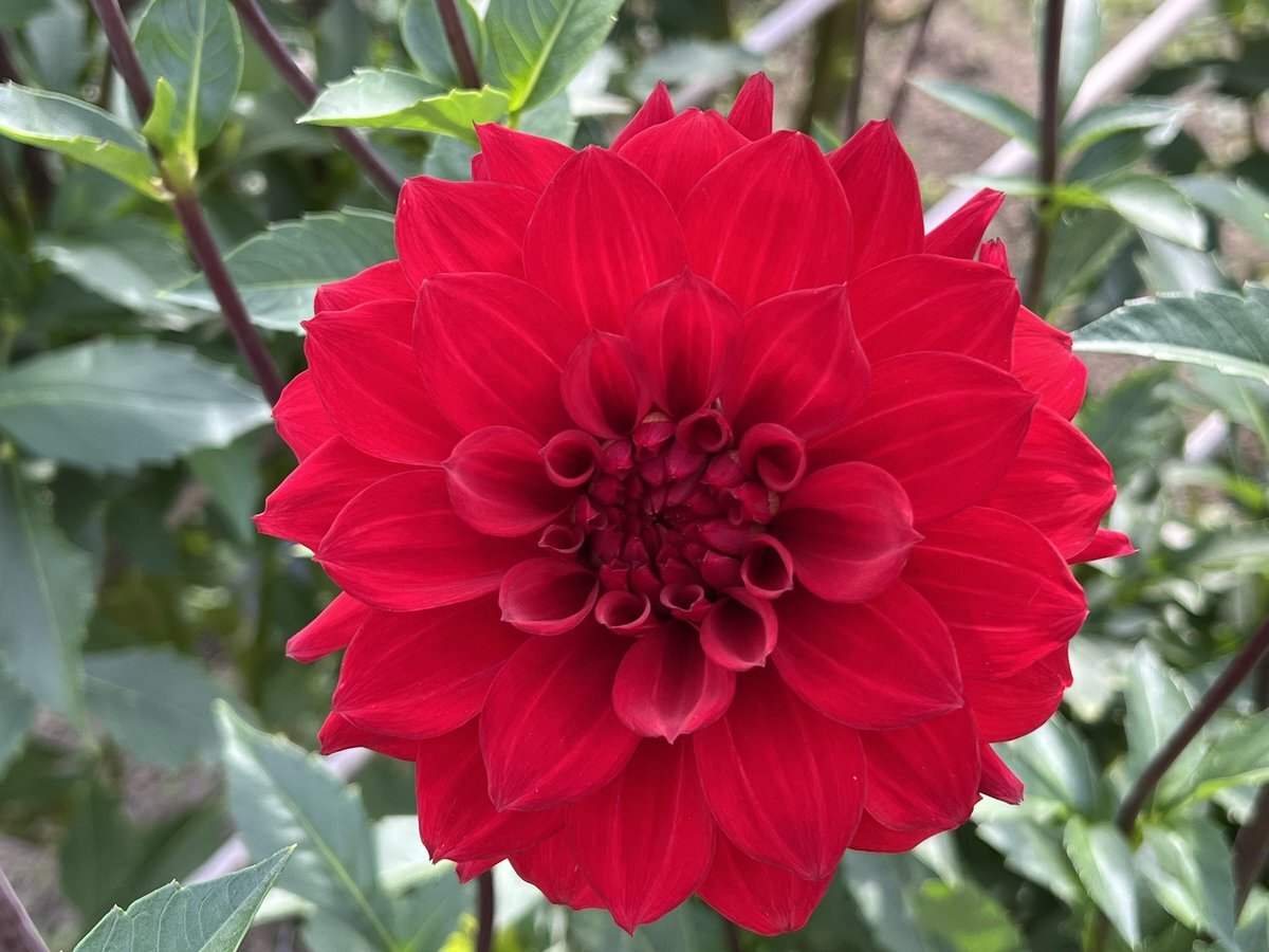 まとめ依頼後無言キャンセル❌むさしくん様♡専用ページ 優しい先生！ - zeta