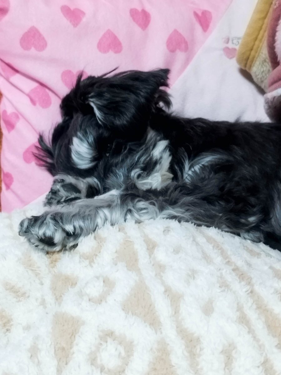 青森県周辺で地震発生、SNSで減災意識の高まり