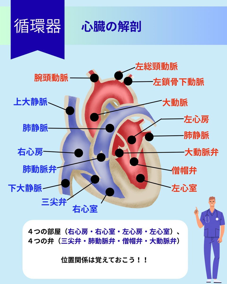 早い者勝ち❤️看護師国家試験問題＆解答8冊まとめ売り 即日発送可❤️ 早い者勝ち❤️看護師国家試験問題＆解答8冊まとめ売り 即日発送