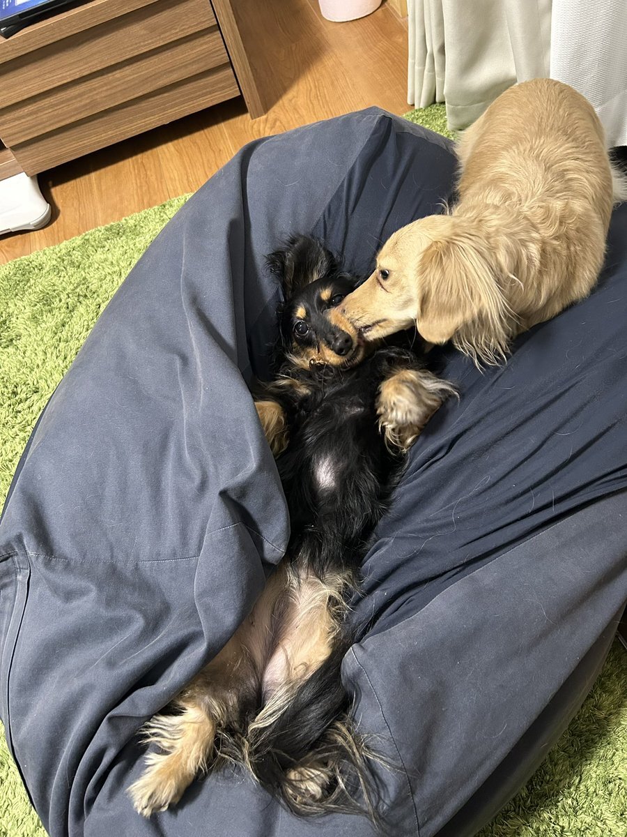 羽田秀吉 赤井秀一」のYahoo!リアルタイム検索 - X(旧Twitter 羽田秀吉 赤井秀一」のYahoo!リアルタイム検索 - X(旧Twitter