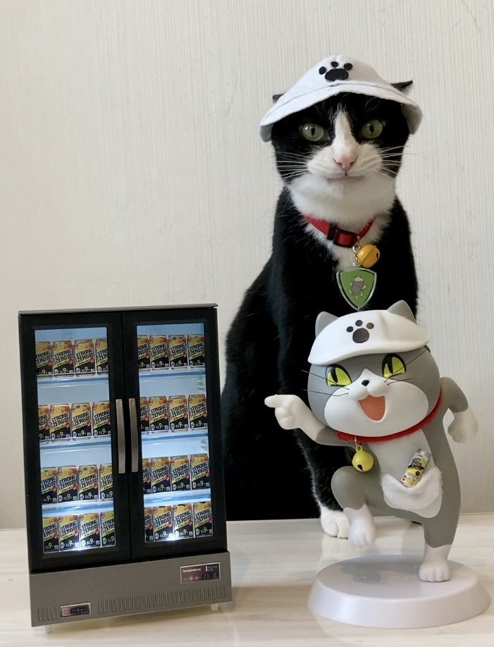現場猫 Amazon.co.jp: 現場猫 仕事猫 電話猫 ジェネリック現場猫 : おもちゃ