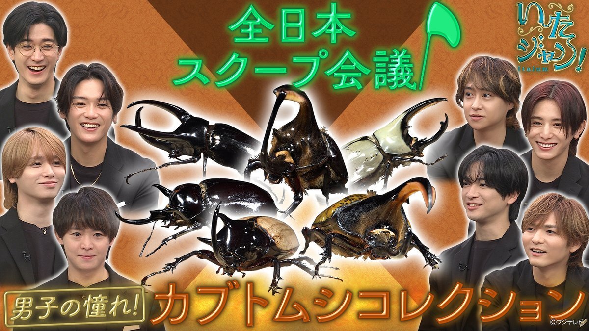 かぶとむし　★プロフ必読★  いきもの大図鑑 かぶとむし07 『ランキフェルオオニジダイコク