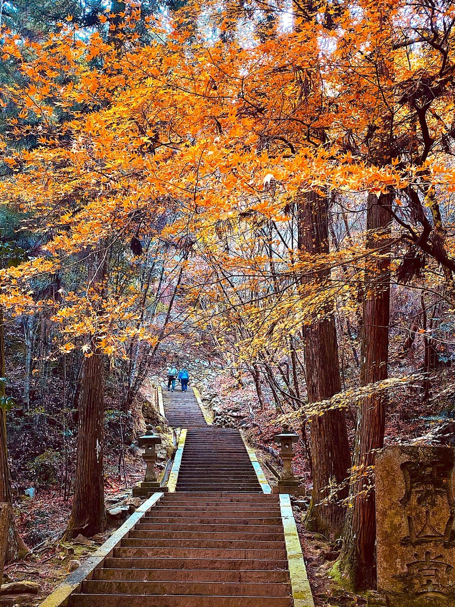 清水尋也、俳優業を断念し「一般の仕事」へ  ファンは賛否両論 