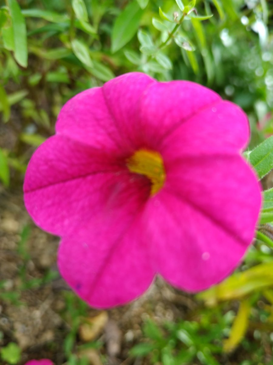 気温が下がった！SNSユーザーの反応は？