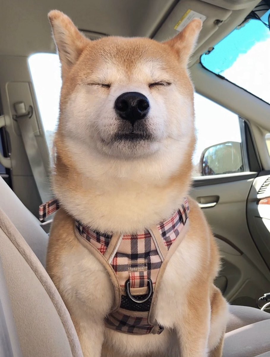 ナミネ@プロフ確認お願い致します ナミネ@プロフ確認お願い致します様 専用 オーダーページ - メルカリ