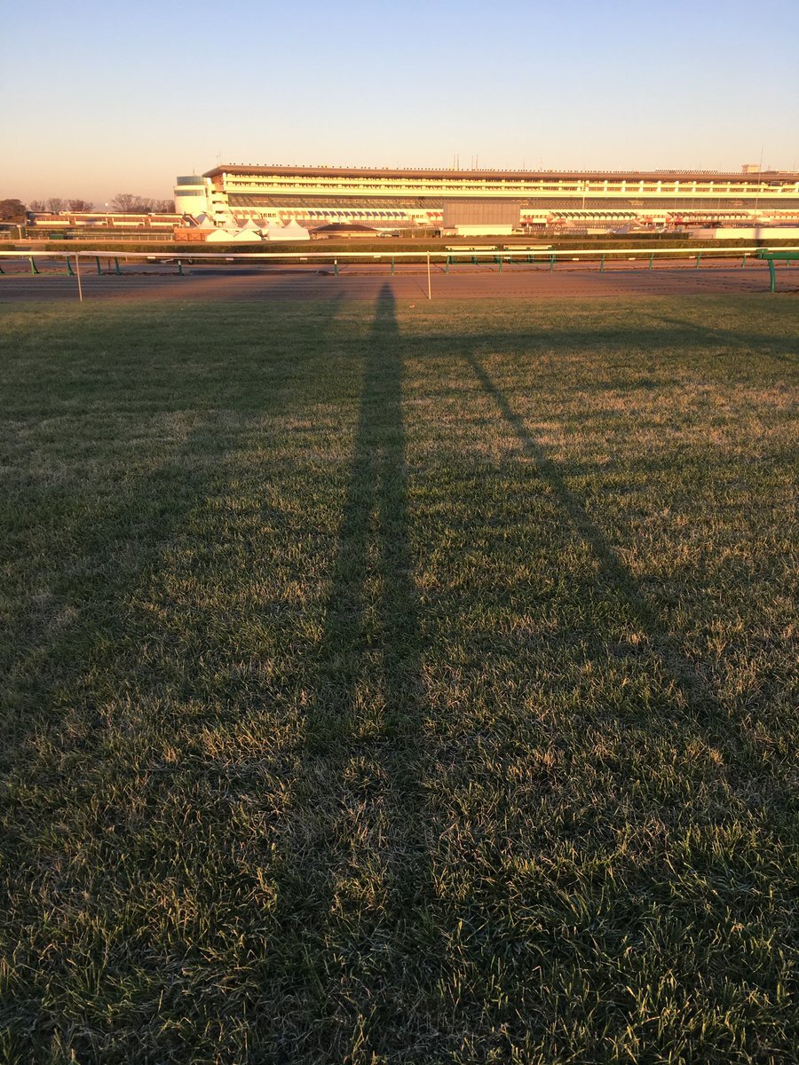 「『ザ・ロイヤルファミリー』で話題の中山競馬場、その美しさに感動」