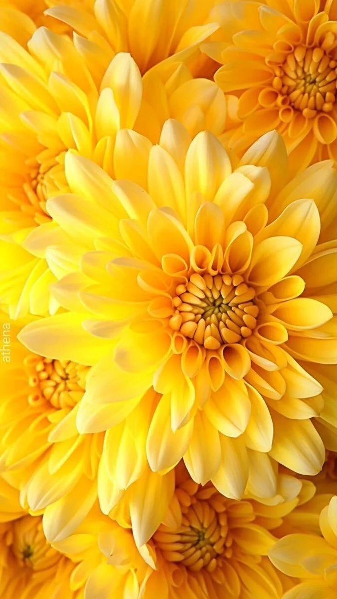 早朝覚醒に悩んでいる人が多い？