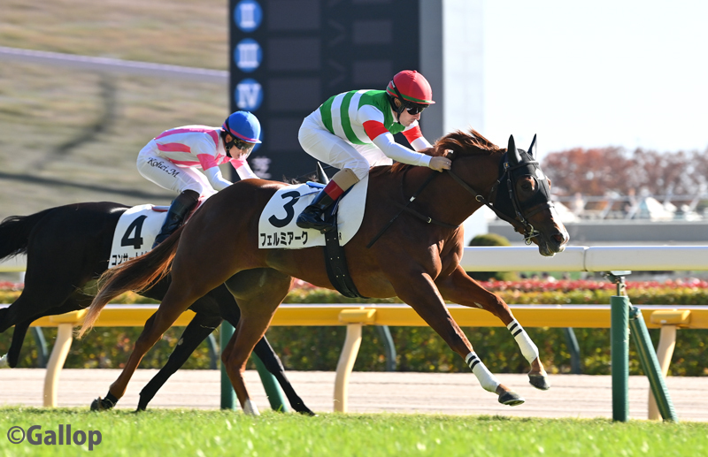 断然人気フェルミアーク、デビュー戦で快勝！