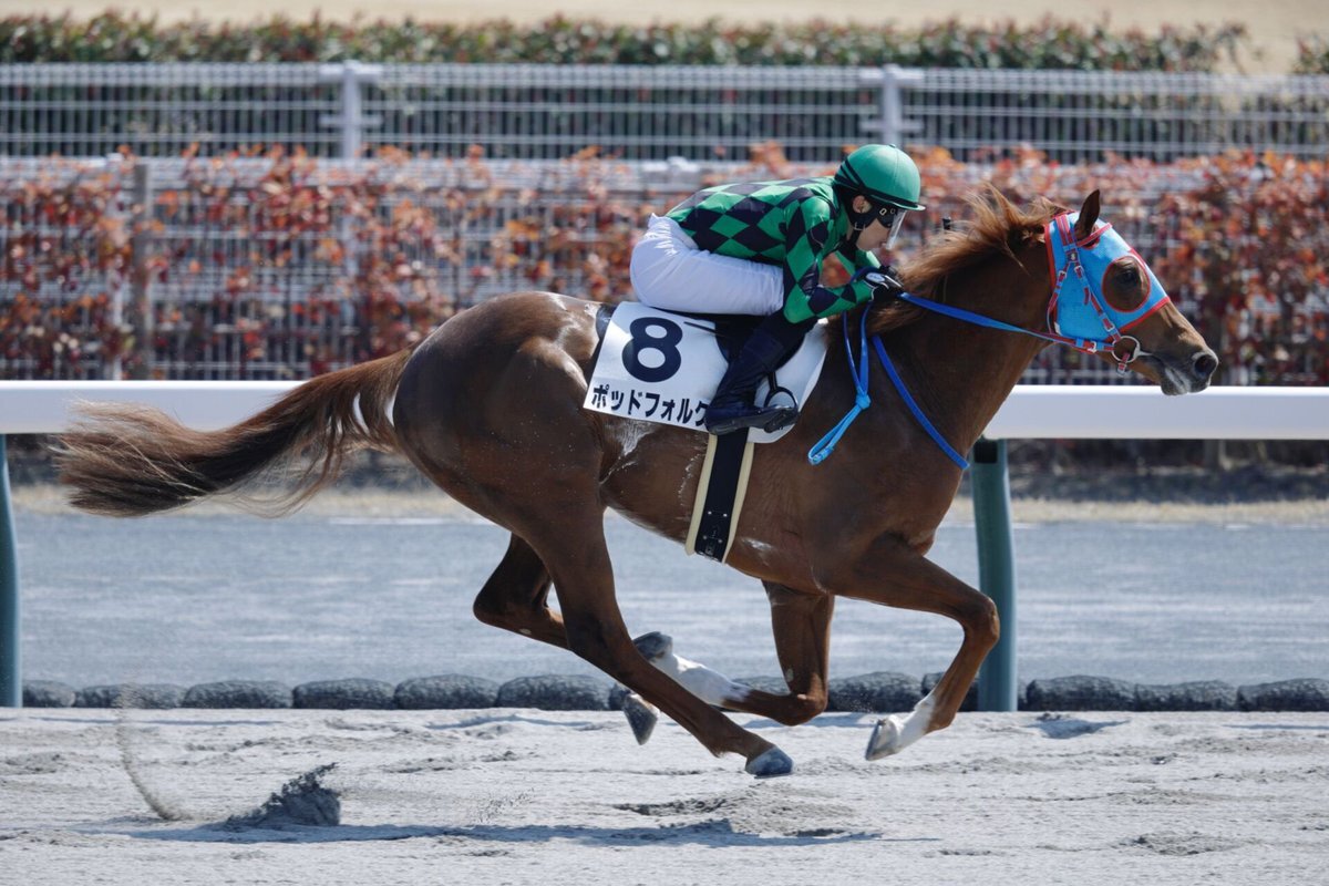 ポッドフォルク、惜敗も好走で期待高まる！