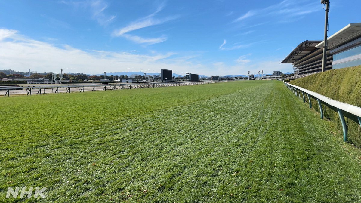 「ザ・ロイヤルファミリー」東京競馬場での思い出、ファン感動の声