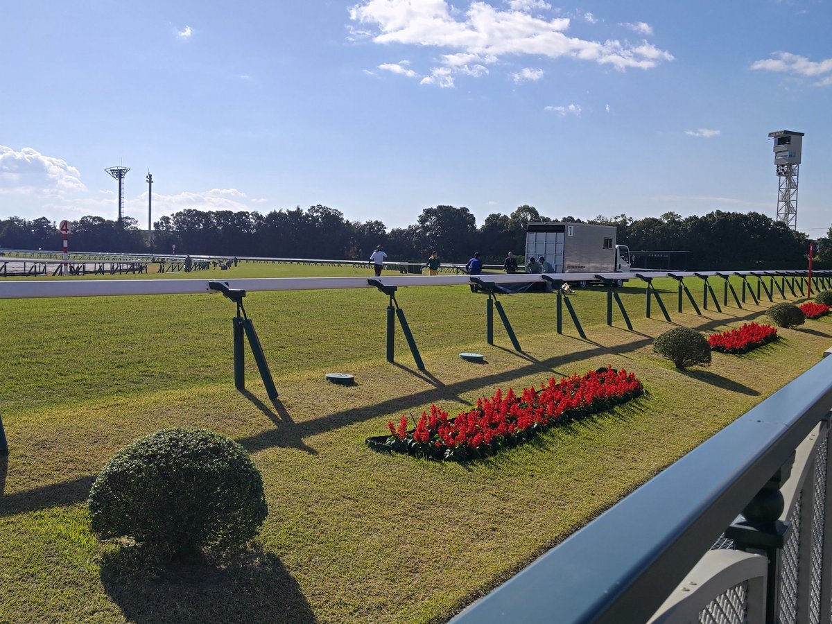 京都競馬場3R落馬事故、幸騎手ら3騎手負傷か