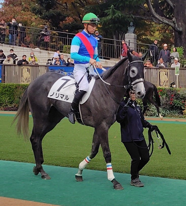 東京3Rレース結果！グリーンエナジーが勝利