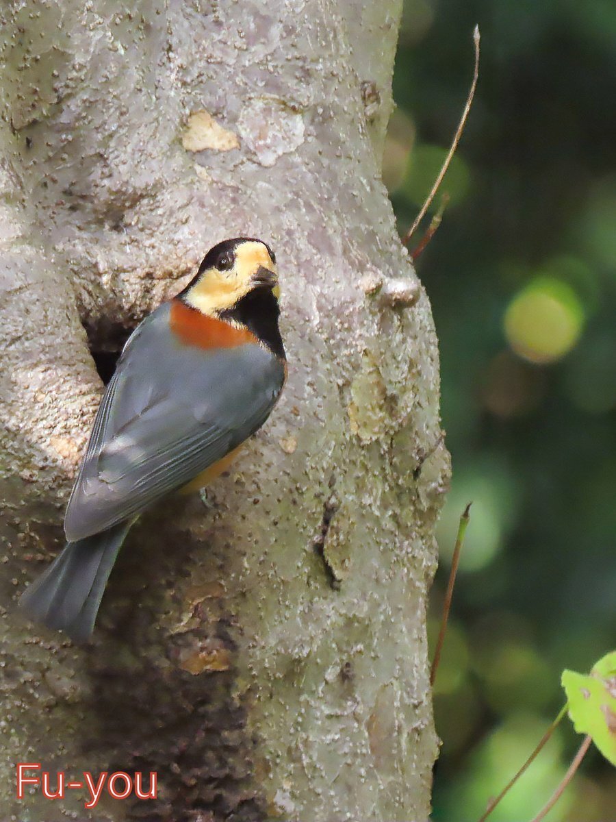 三連休スタート！SNSで過ごす人々の笑顔と計画 