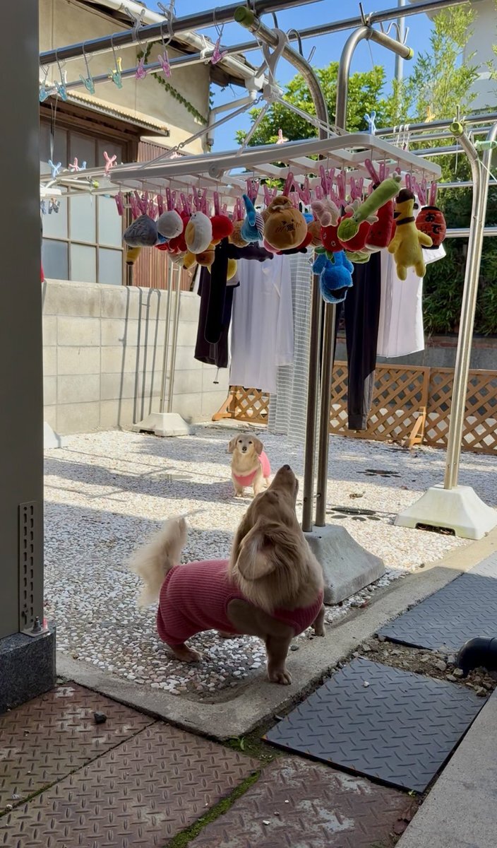 レア✴︎年代物✴︎ビンテージ✴︎ランタン レア✨RunBIRD ランバード 90s ミズノ ビンテージ ナイロン