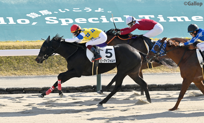 12番人気ビーアイフォルテが福島2Rを制す！予想外の大波乱にファン歓喜