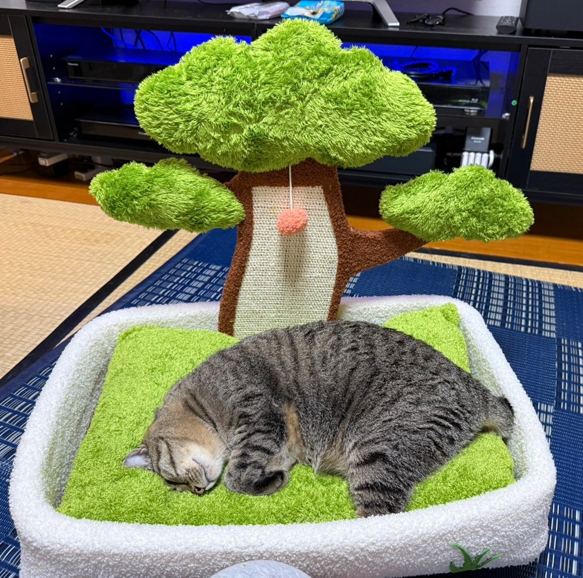 ドローン　ご相談承ります❗️ ドローンをSkydio Enterprise Controllerとペアリングおよびペア