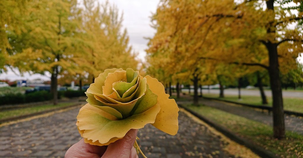幼稚園での出来事、ママたちの日常