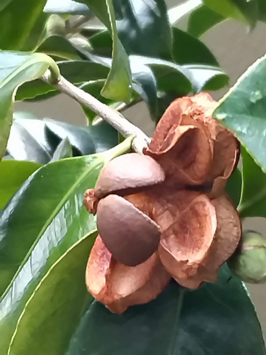 SNSで話題に！アンガーマネジメント研修の返答例に注目