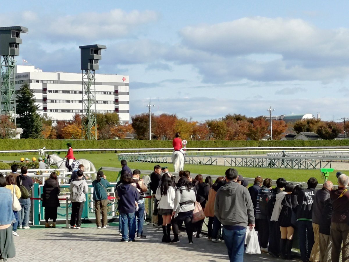 誘導馬が放馬！福島競馬で何が起きた？