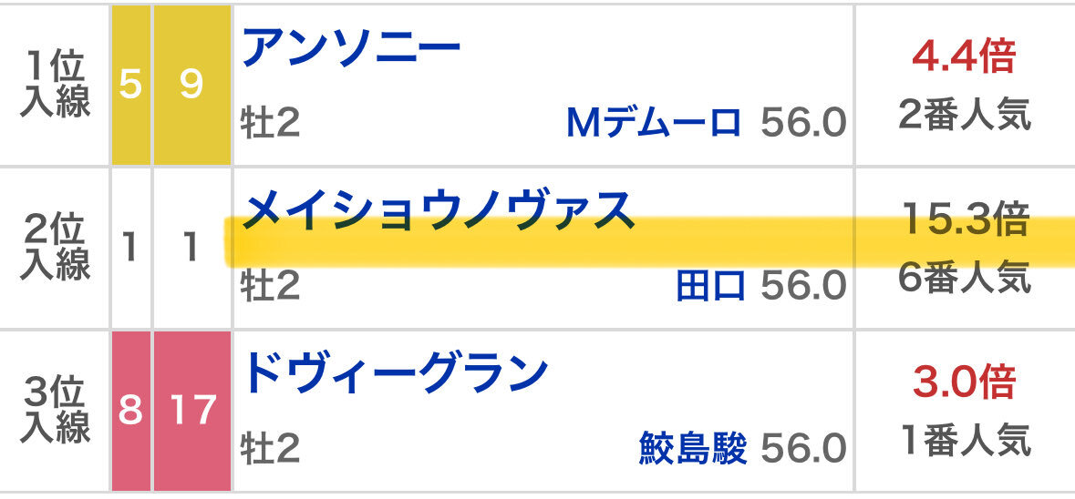 アンソニーが勝利！阪神5R新馬戦でデムーロ騎手も久々のJRA勝利