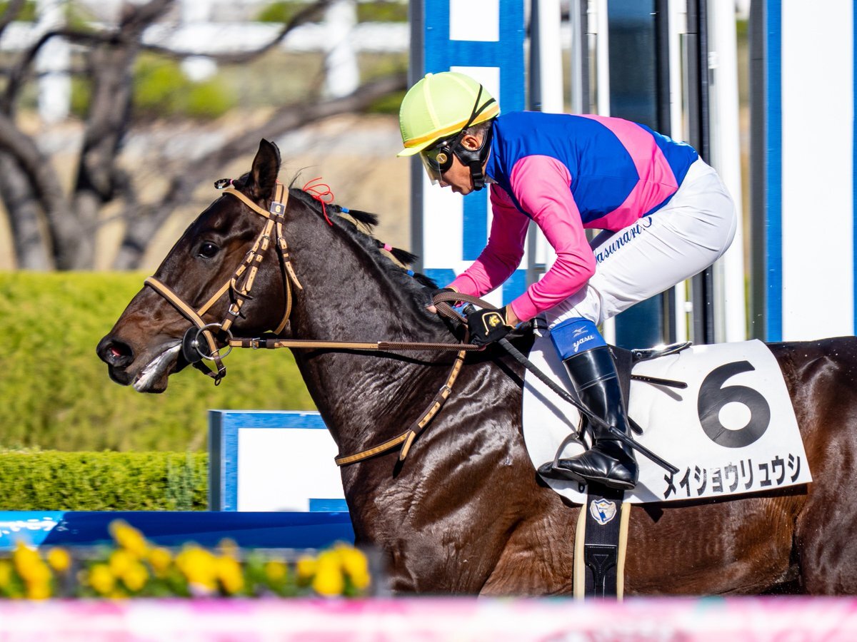 メイショウリュウシ、デビュー戦で圧勝！ 
