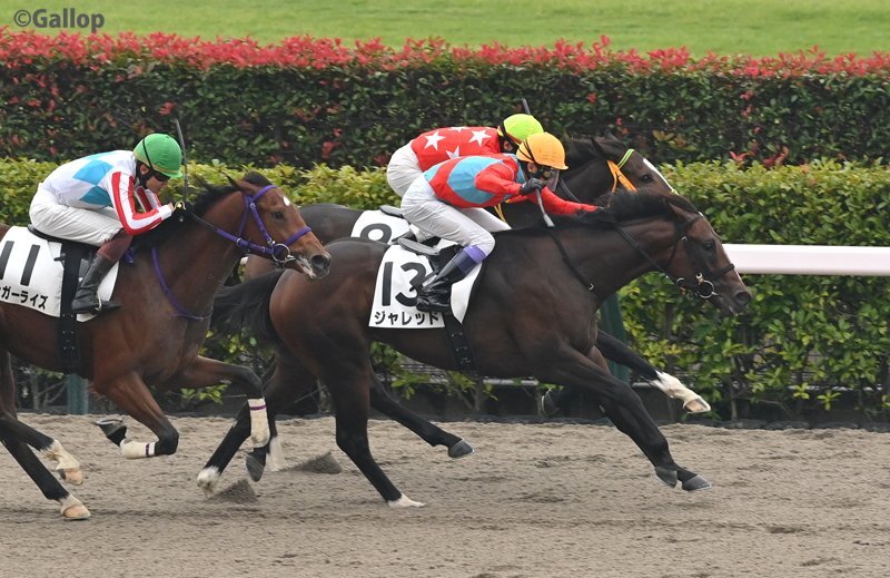 新馬戦の結果、SNSで話題に！