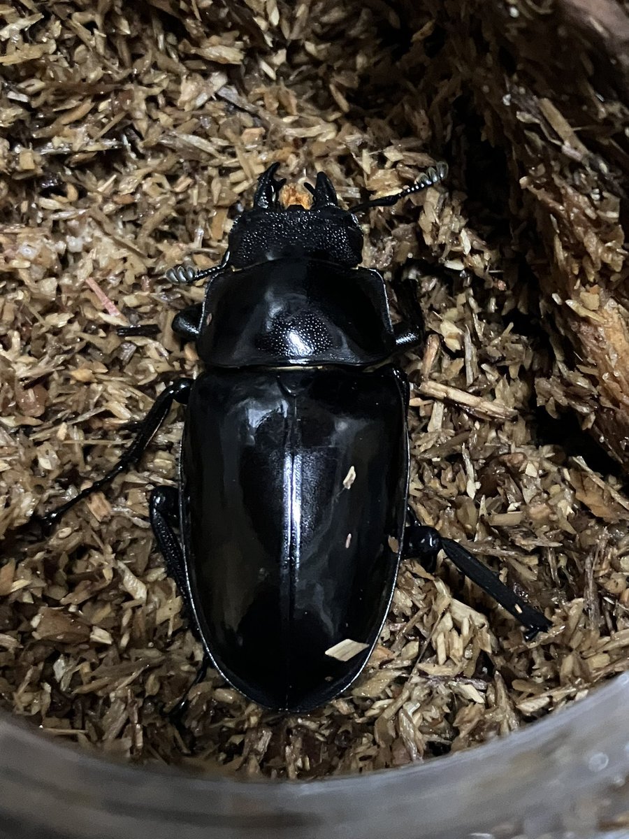 ゆとり世代の少子化、SNSで議論勃発