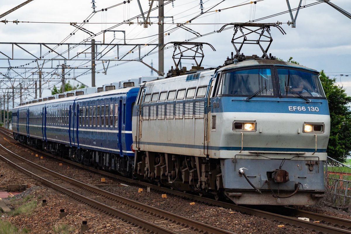 【9/15AM10時までの出品です】C55 1プレート 9/15AM10時までの出品です】C55 1プレート Yahoo!オークション