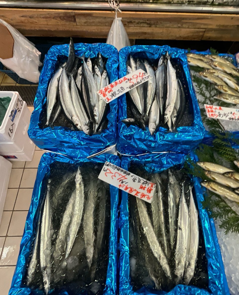 X（旧Twitter）で話題のおもしろ画像や動画 - Yahoo