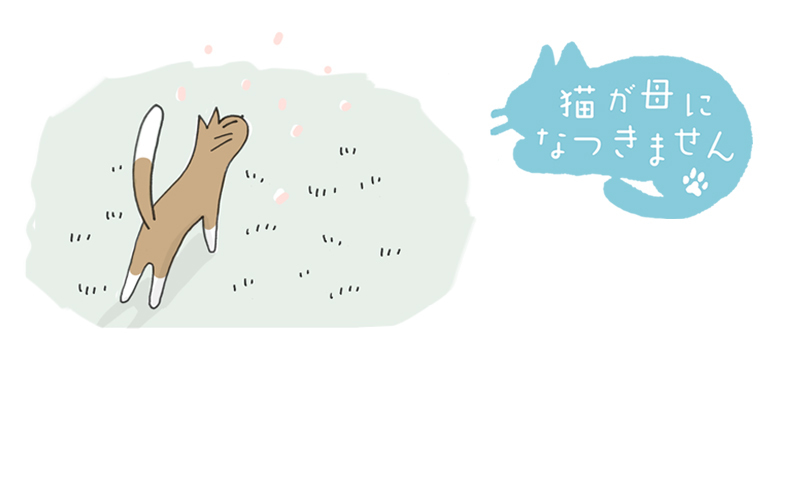 猫が母になつきません」のYahoo!リアルタイム検索 - X(旧 猫が母になつきません」のYahoo!リアルタイム検索 - X(旧