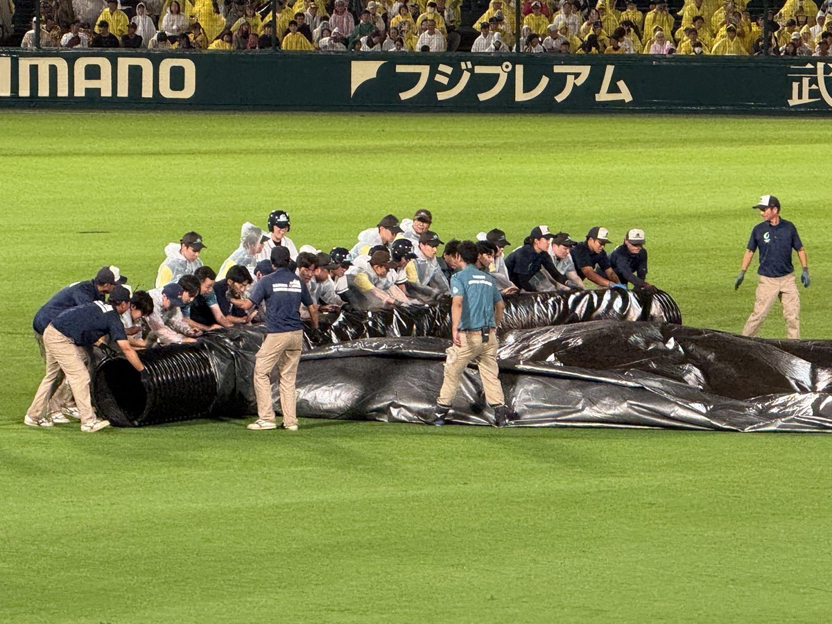 阪神タイガース、雨天中断からのサヨナラ勝ち！