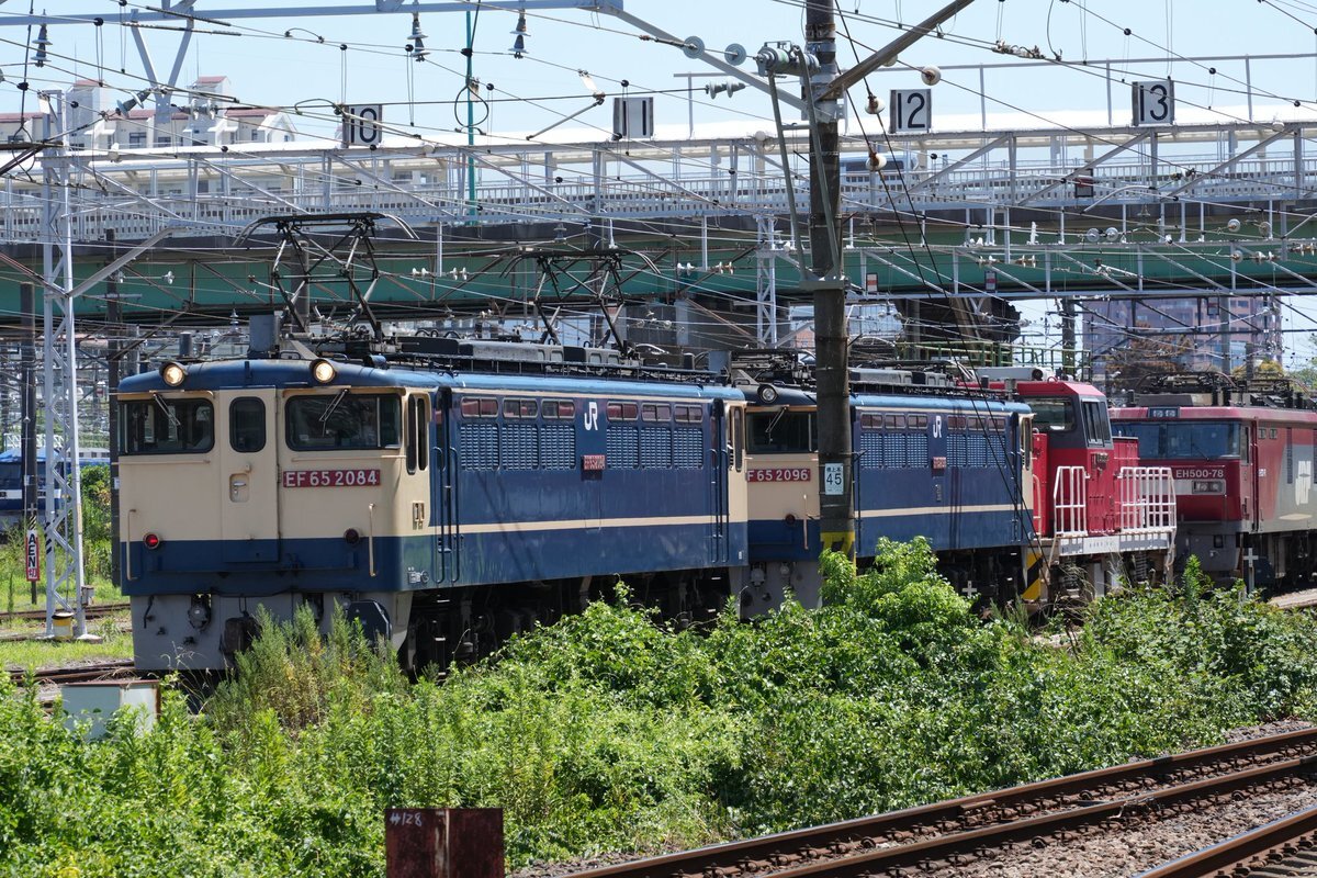 まの。 トミックス 9171 EF81 81号機・お召塗装 鉄道模型 Nゲージ