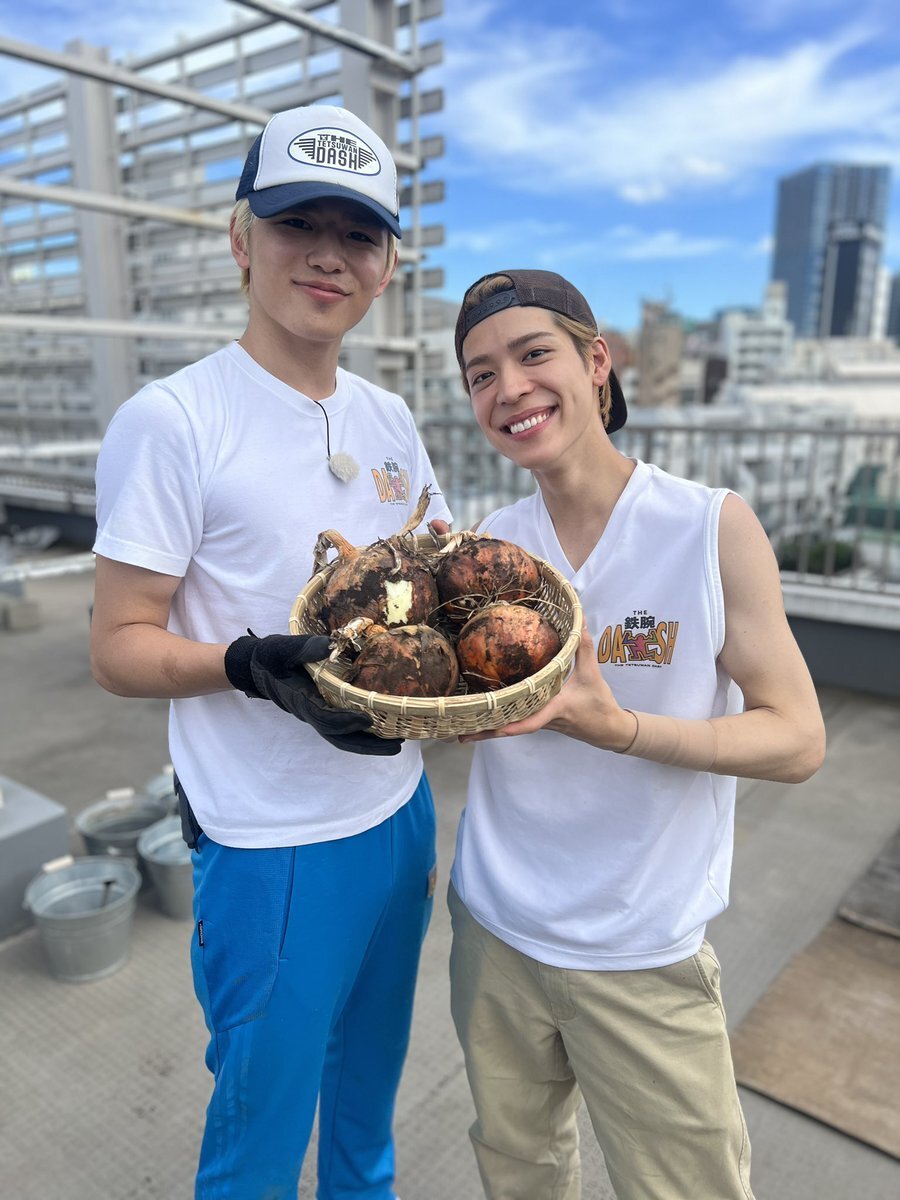 新宿DASHでブドウ栽培に挑戦！松島聡と篠塚大輝の活躍に注目！