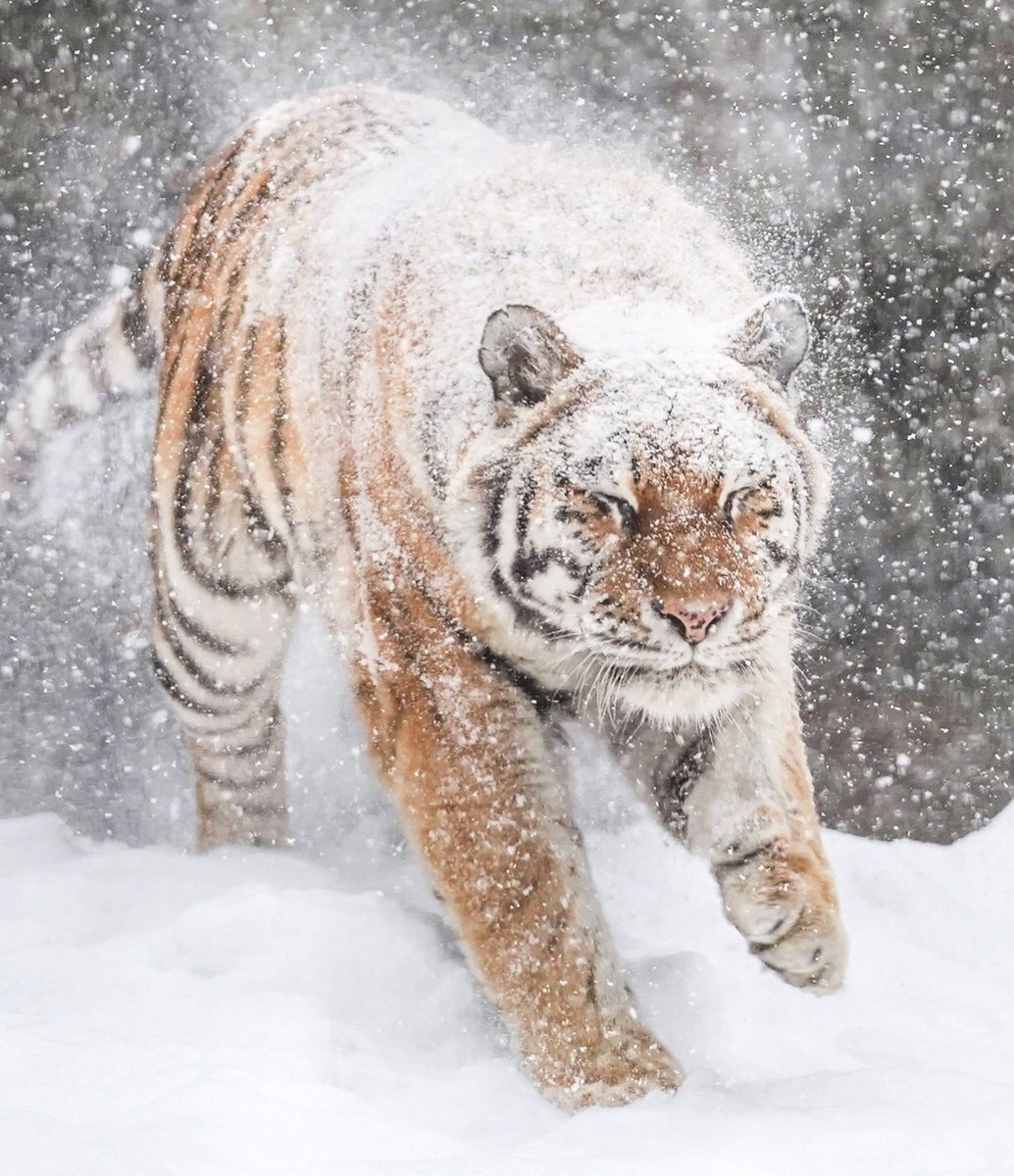 懐かしの給食メニュー「揚げパン」がSNSで話題に